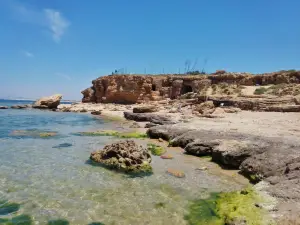 Hof Palmahim National Park