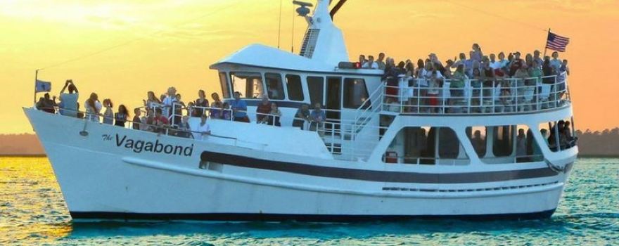 Vagabond Cruise