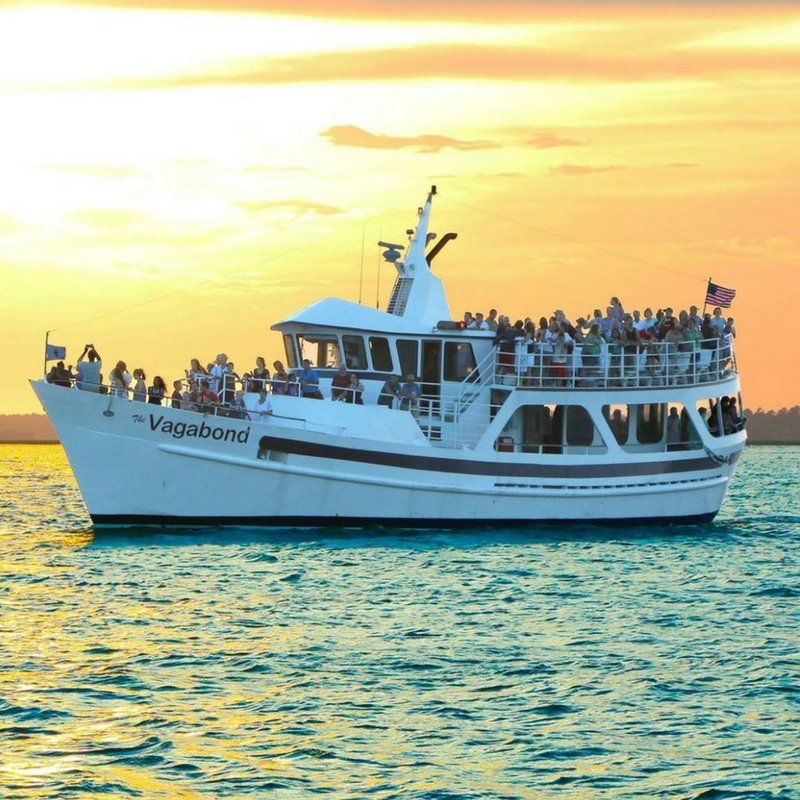 Vagabond Cruise