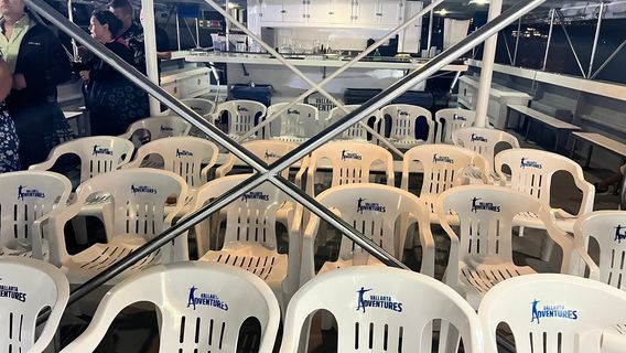 Rhythms of the Night by Vallarta Adventures