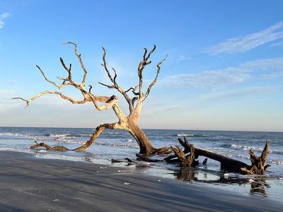 Coastal Expeditions