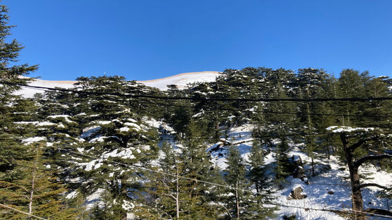 Cedars of God Bsharri