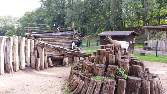 Wildpark Frankfurt