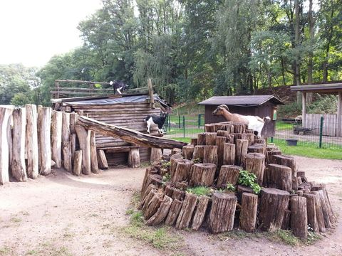 Wildpark Frankfurt