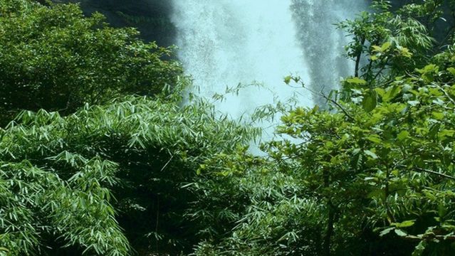 Athirappilly Water Falls