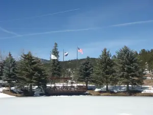 Dedisse Park