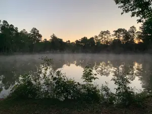 Meyer Park
