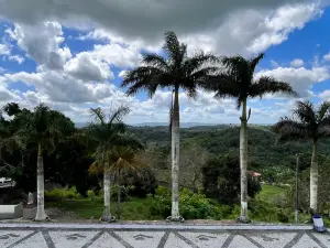 Memorial Frei Damiao