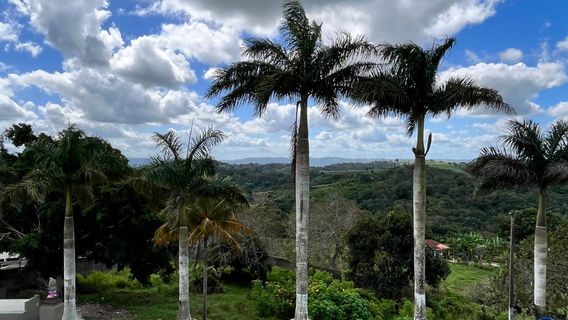 Sanctuary of Frei Damiao