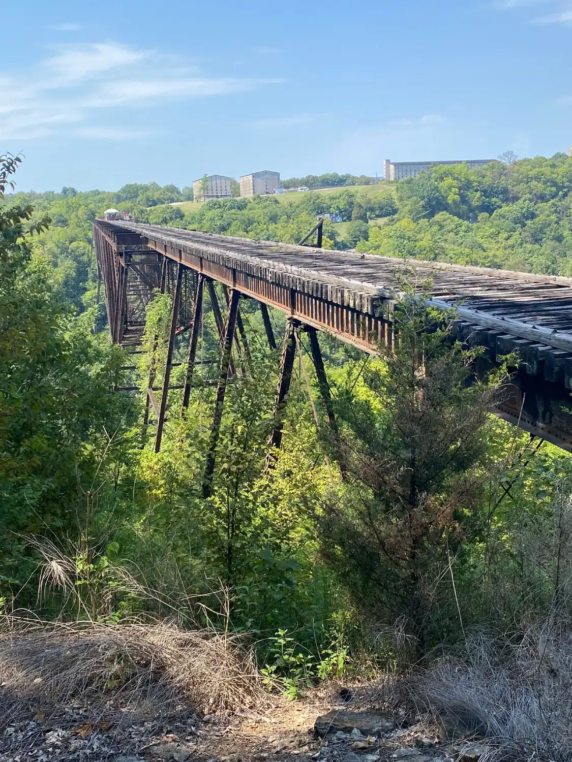 Hotels near Bluegrass Scenic Railroad and Museum