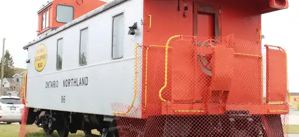 ティミンズ
