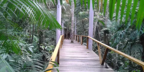 Parque do Mindu