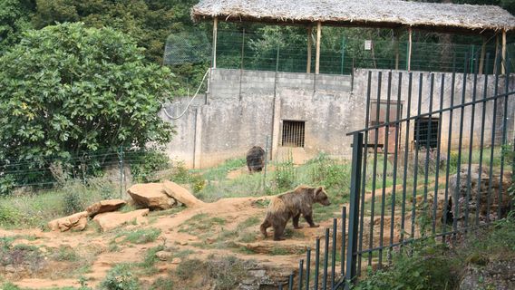 Prehistoric Site of Regourdou (Site Prehistorique de Regourdou)