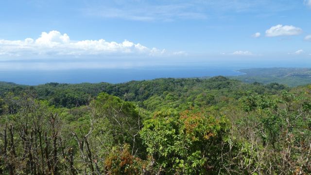 Mt. Bandilaan National Park