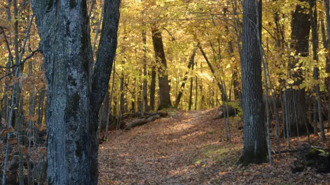 3_Lake Carlos State Park