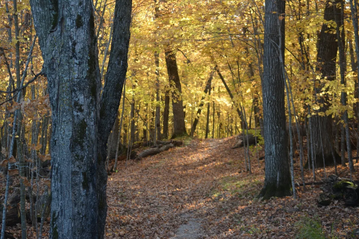 3_Lake Carlos State Park