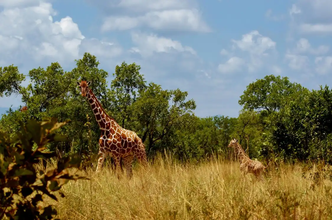 Hotels near Meru Museum