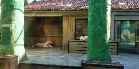 T.I.G.E.R.S. Preservation Station