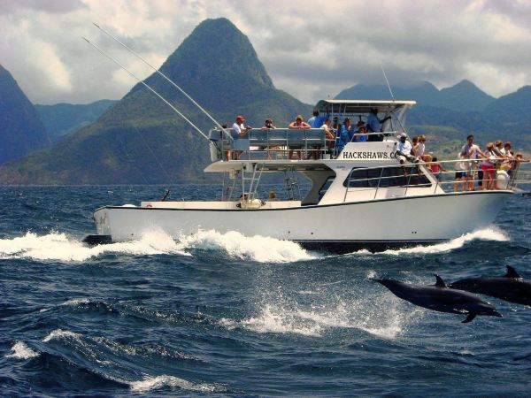 Hackshaw's Boat Charters St. Lucia