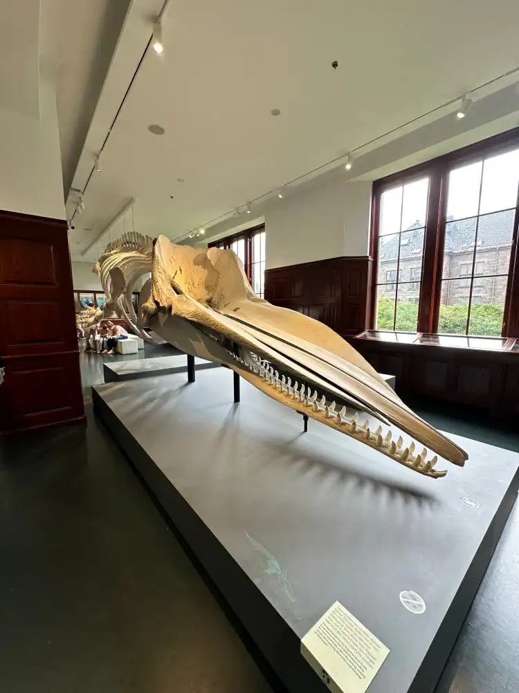Hotels in der Nähe von Natural History Museum