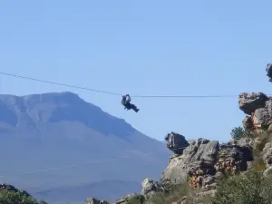 Ceres Zipslide Adventures
