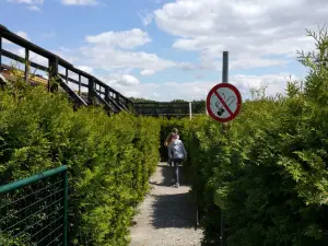 Irrgarten Eckartsberga