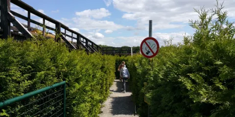 Irrgarten Eckartsberga