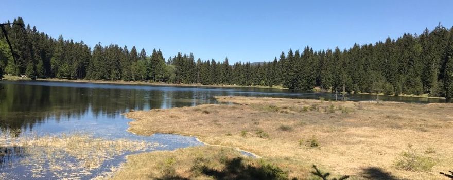 Kleine Arbersee