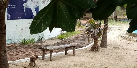 Projeto Tamar Almofala