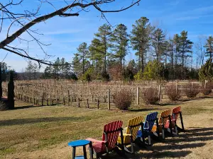 Overmountain Vineyards