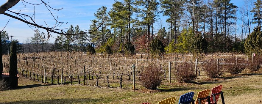 Overmountain Vineyards