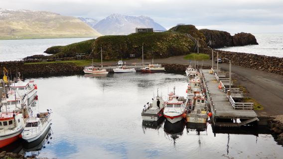 Borgarfjardarhofn - Hafnarholmi