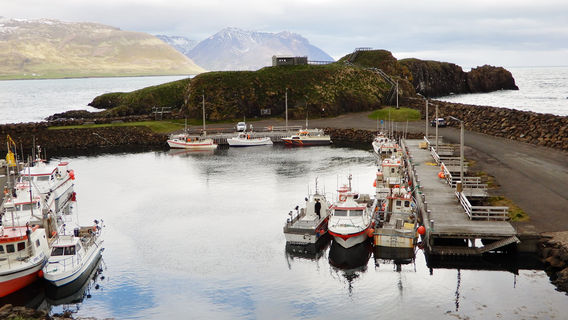 Borgarfjardarhofn - Hafnarholmi