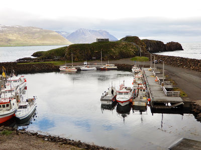 Borgarfjardarhofn - Hafnarholmi