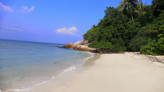 Lang Tengah Turtle Watch