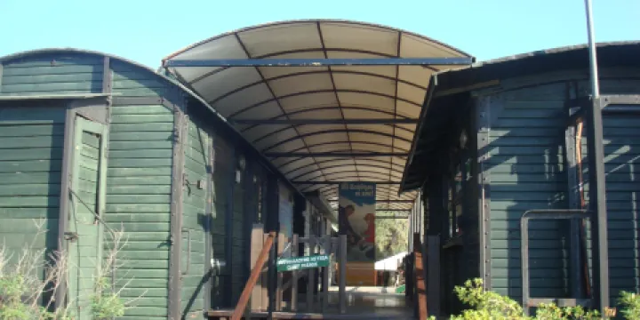 ARCHELON Τhe Sea Turtle Protection Society of Greece