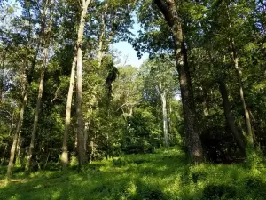 Gambrill State Park