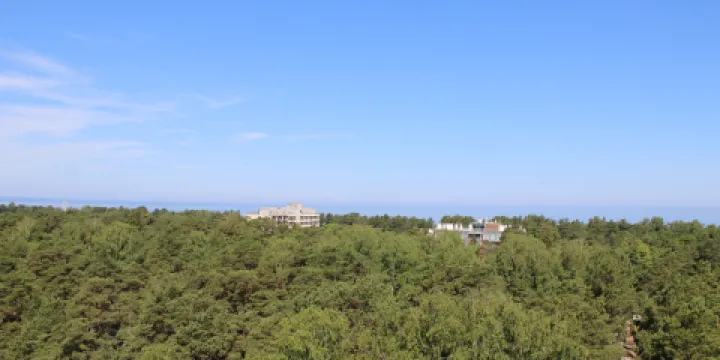 Viewing Tower by Architect Bureau ARHIS