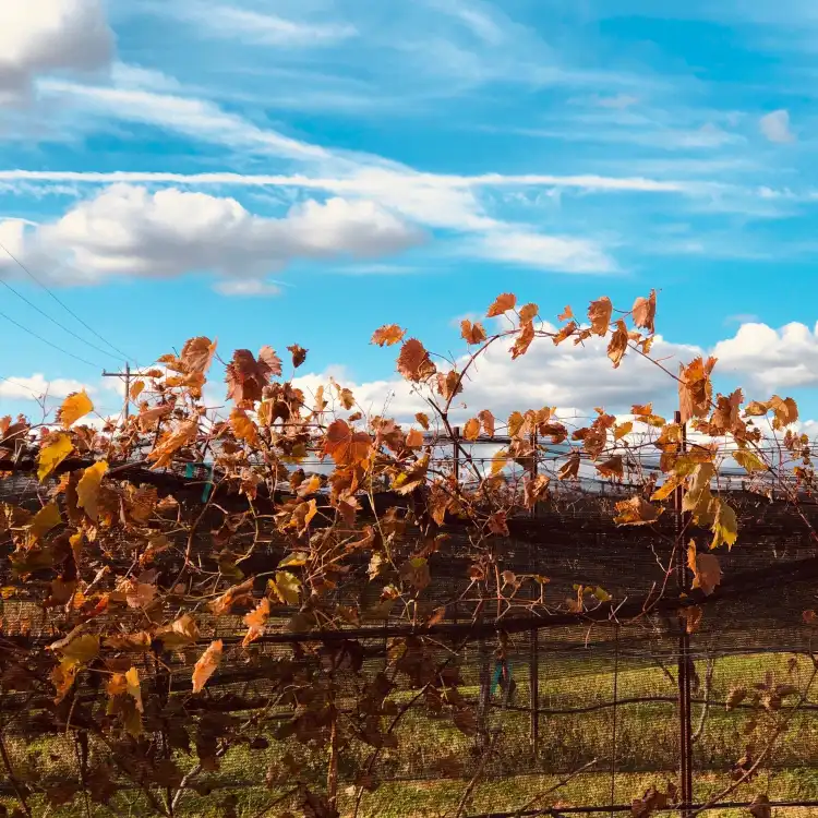 Hotels in Cleveland County