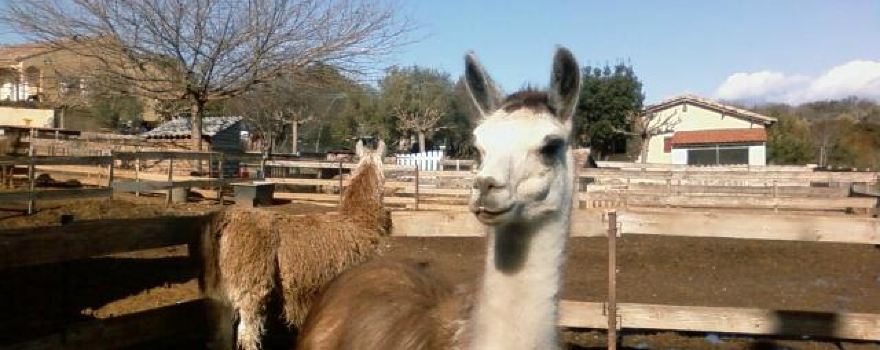 Ferme Zoo de Bouzigues