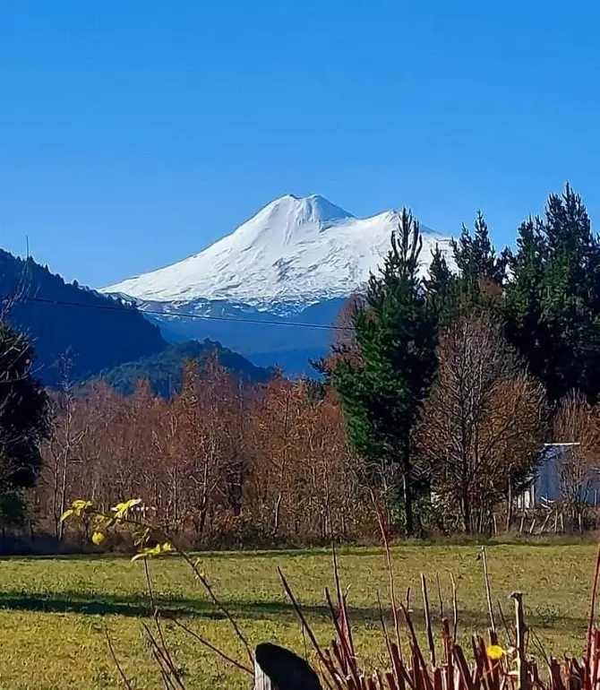 Vilcun