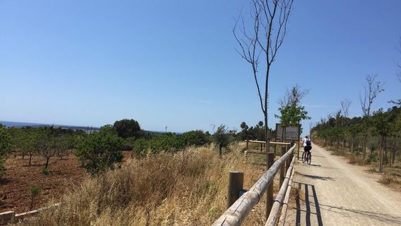 Via Verda