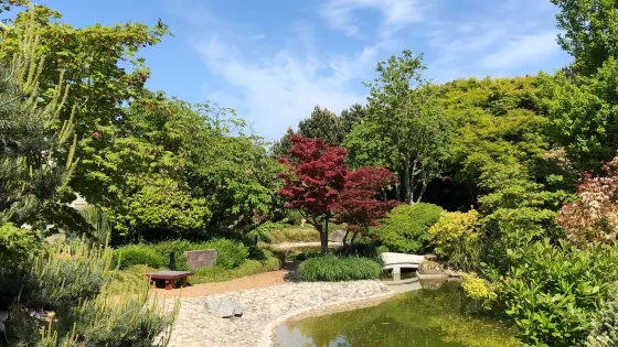 Jardin Japonais