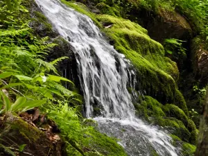 Buttermilk Falls