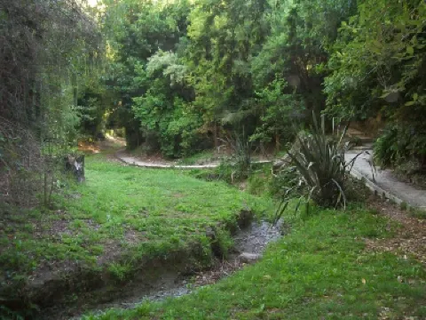 Kingsgate Reserve