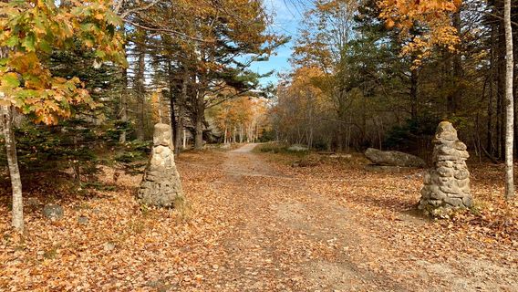 Lunenburg County