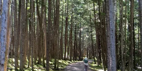 Kitselas Canyon National Historic Site