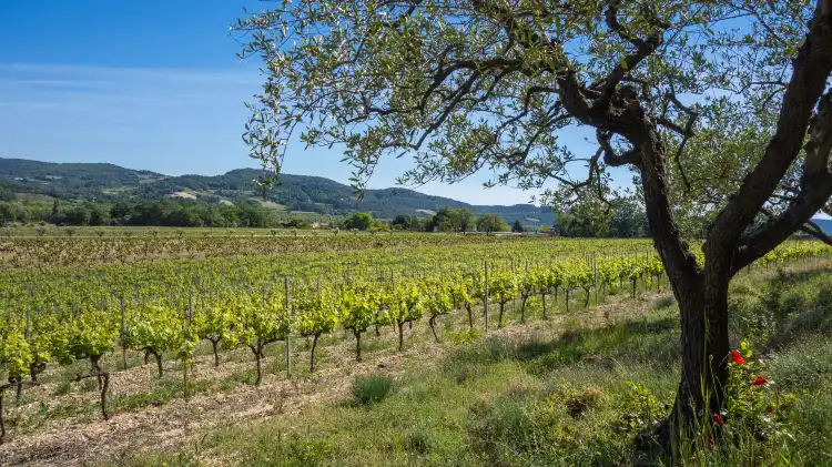Hotels near S.C.E.A Du Domaine Saint Vincent