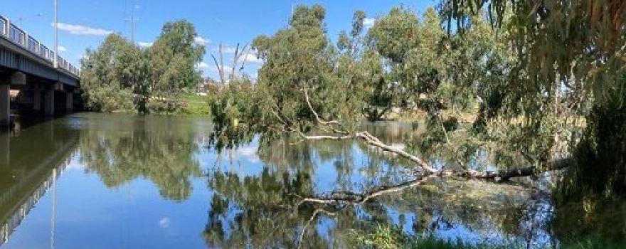 Bridgewater on Loddon