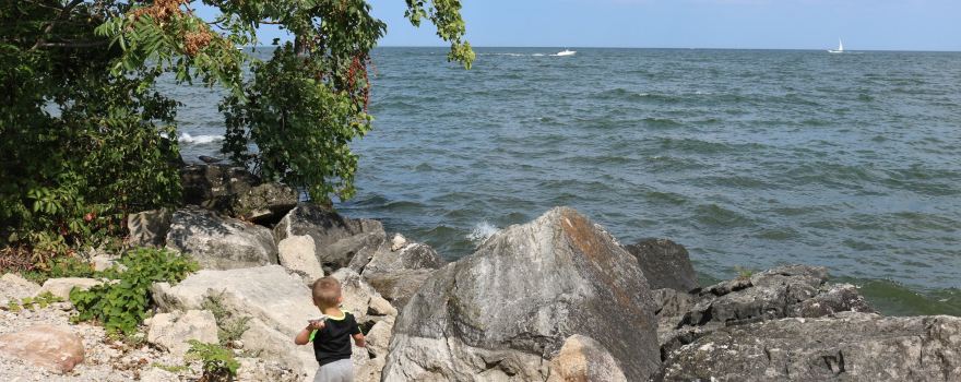 Lions Park at Lake Point